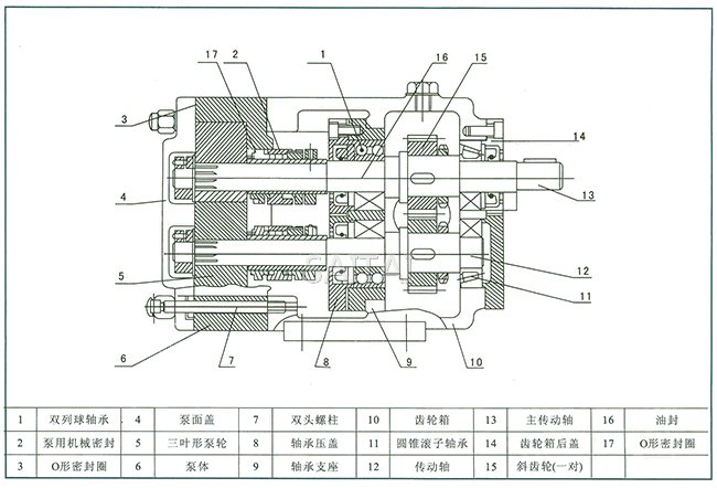 LQ3A型不銹鋼轉子泵結構圖