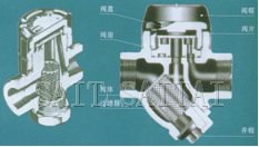Y型式/北京式（圓盤式）熱動力蒸汽疏水閥總裝圖