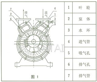 SZ系列水環式真空泵結構圖1